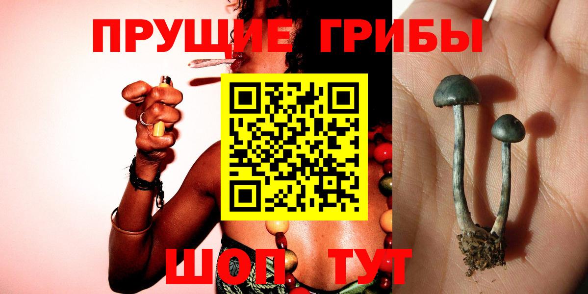 Галлюциногенные грибы мухоморы  Вход с VPN  Богородск  Псилоцибиновые грибы Cubensis 